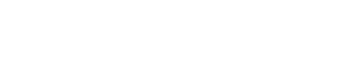 ScreenLink